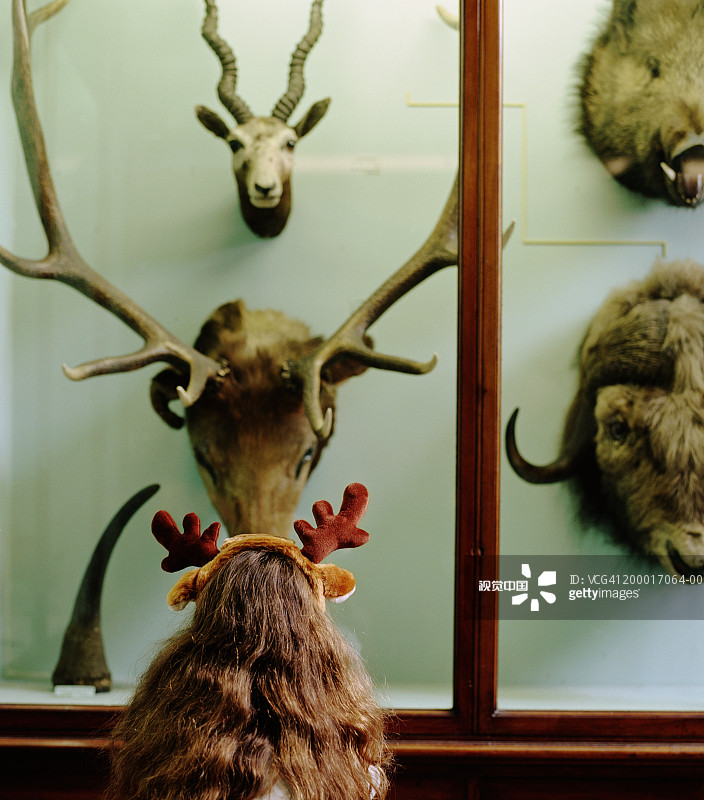 戴着玩具鹿角看柜子里动物头像的女孩图片素材