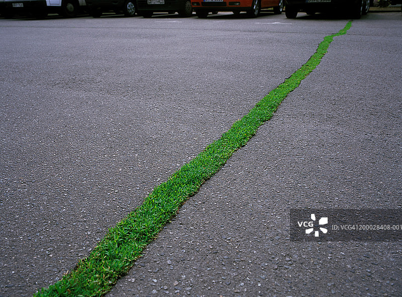 穿过停车场的草皮带，特写图片素材