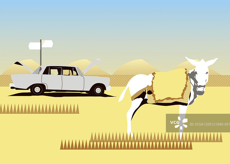 沙漠景观中的汽车和驴图片素材