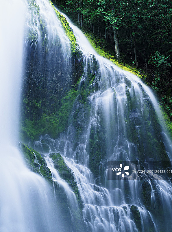 美国俄勒冈州普罗西瀑布：苔藓覆盖的岩石图片素材