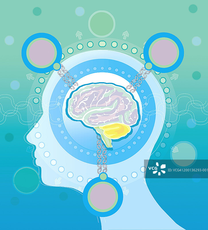 透明头部横截面，轮廓图片素材