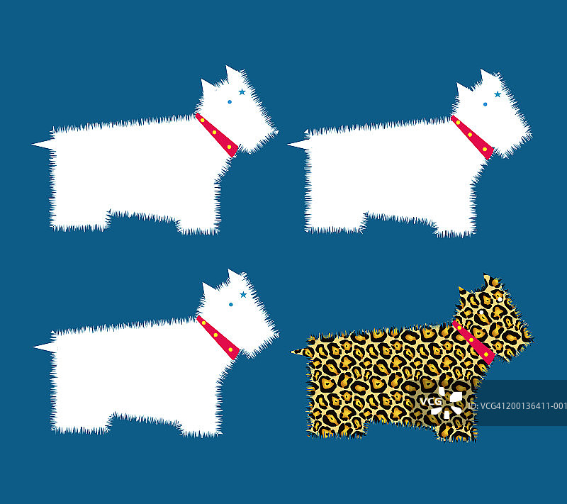 印有动物图案的狗和三只相同的白狗图片素材