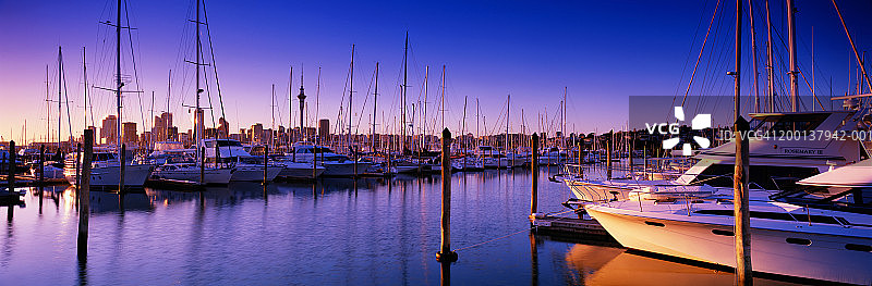 新西兰北岛奥克兰：Westhaven海港的黎明图片素材