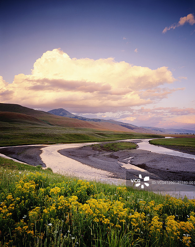 美国怀俄明州黄石国家公园拉马尔河图片素材