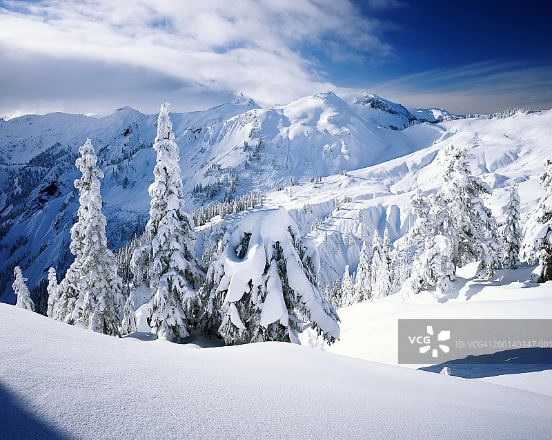 美国华盛顿州贝克山荒野深雪冬季图片素材