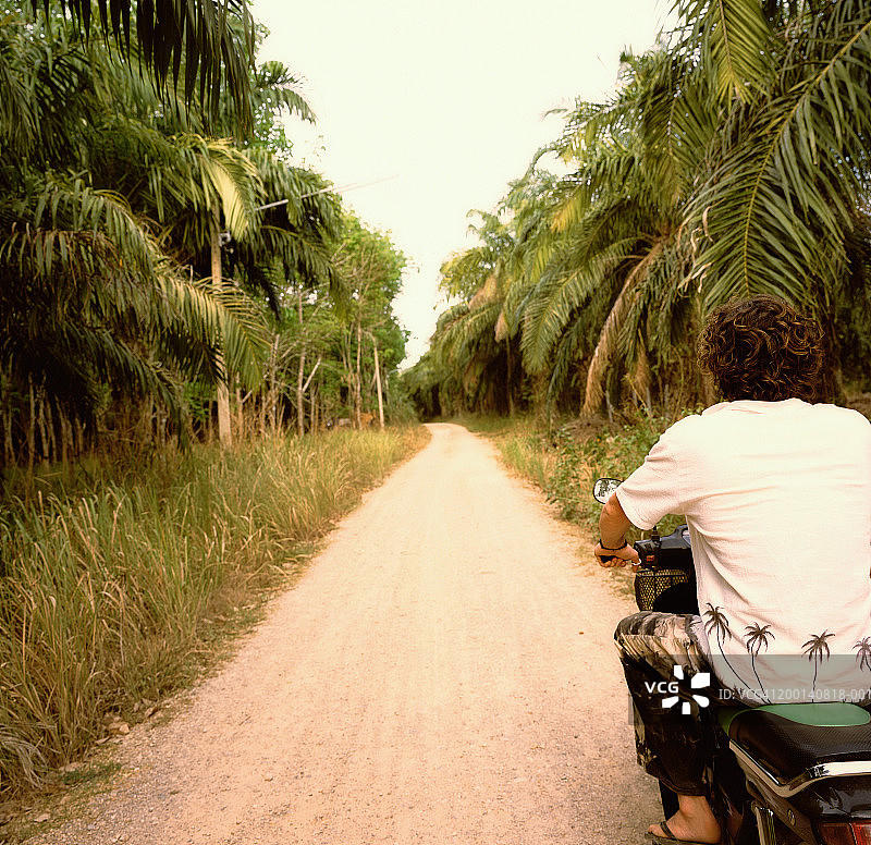 泰国甲米：年轻男子骑着摩托车在森林道路上，后视图图片素材