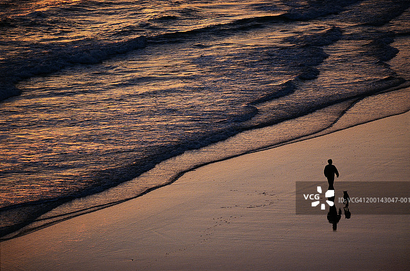 海滩上遛狗的男人剪影（高角度）图片素材