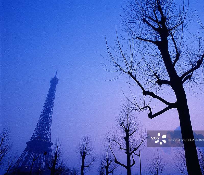 法国巴黎：黄昏时分埃菲尔铁塔旁的树木图片素材