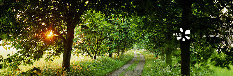 英国格洛斯特郡科茨沃尔德乡村小路日出图片素材