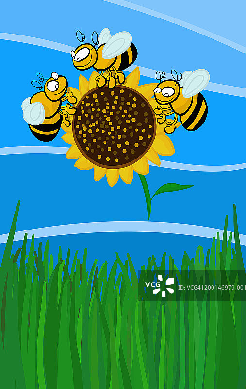 蜜蜂围绕花朵图片素材