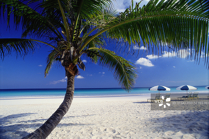 带有遮阳伞的热带海滩图片素材