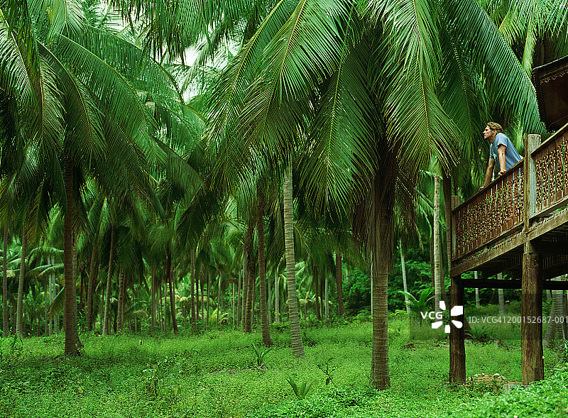 靠在木制阳台栏杆上俯瞰棕榈树的男人图片素材
