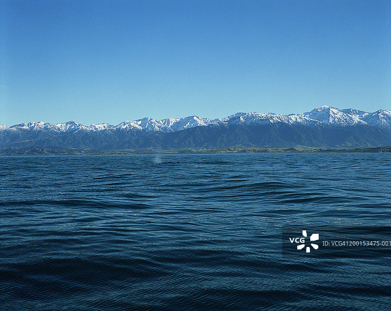 新西兰南岛凯库拉海岸山脉图片素材