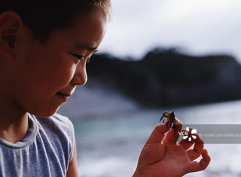 在海滩上拿着螃蟹的男孩（8-10岁），侧视图，特写图片素材