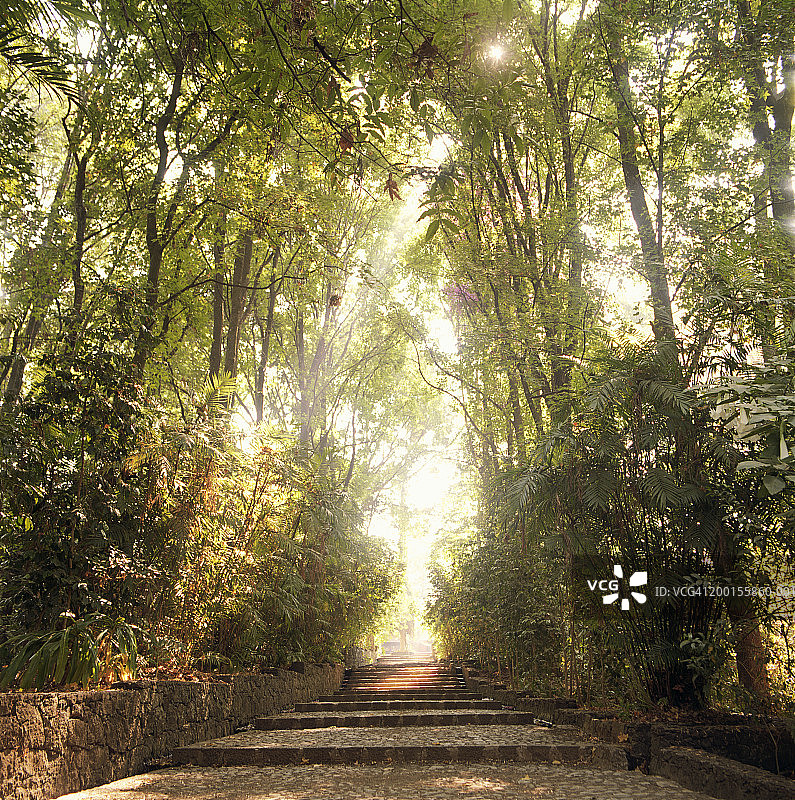 墨西哥米却肯乌鲁阿潘，爱德华多·鲁伊斯公园图片素材