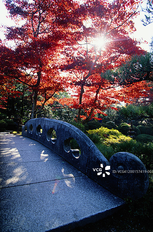 日本枥木县日光市轮王寺秋景图片素材