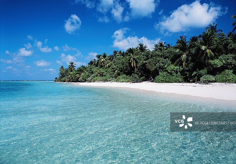 马尔代夫库雷杜岛海岸线棕榈树图片素材