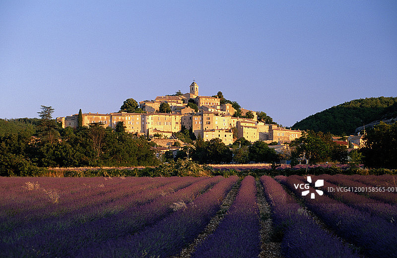 法国普罗旺斯巴农村庄的薰衣草田日出图片素材