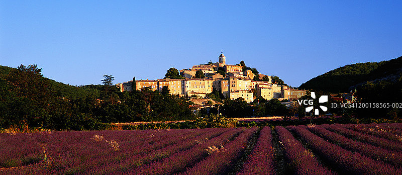 法国普罗旺斯巴农村庄的薰衣草田日出图片素材