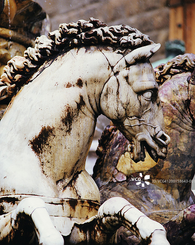 意大利托斯卡纳佛罗伦萨海神喷泉的马匹细节图片素材