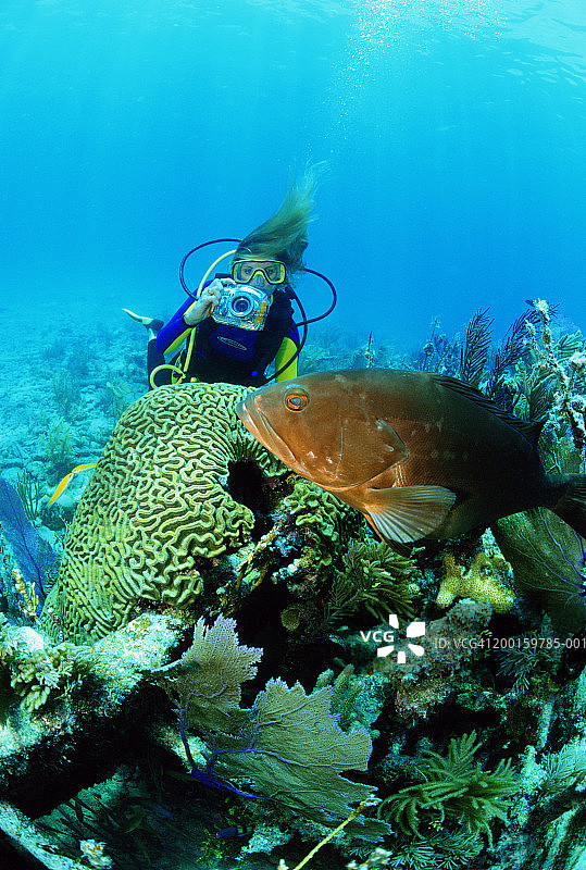 女潜水员拍摄水下生物，水下视角图片素材
