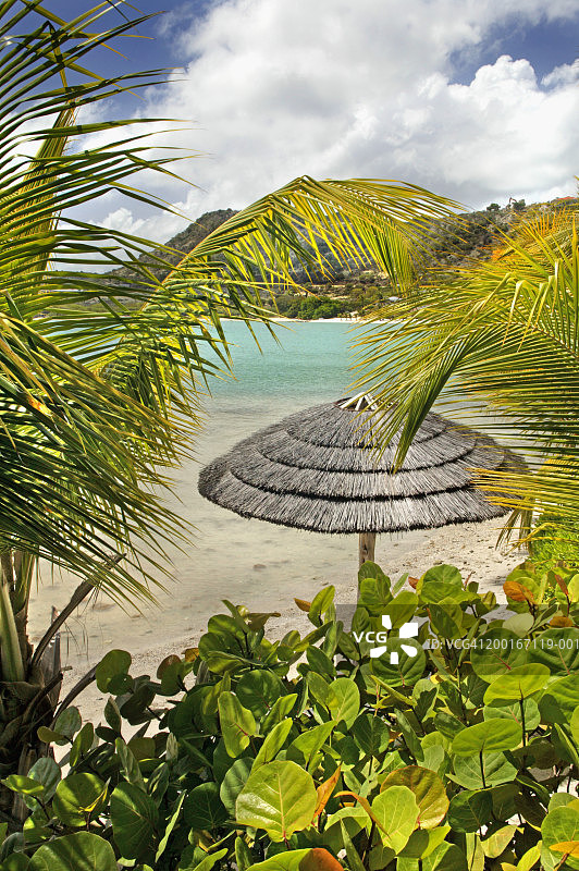 安提瓜热带海滩上的遮阳伞图片素材