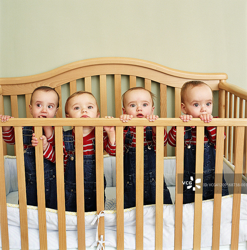 站在婴儿床里的四胞胎宝宝（9-12个月）图片素材