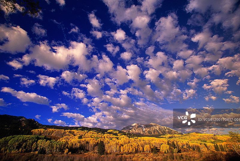 美国科罗拉多州：贝克威思山东部和秋天的白杨树图片素材