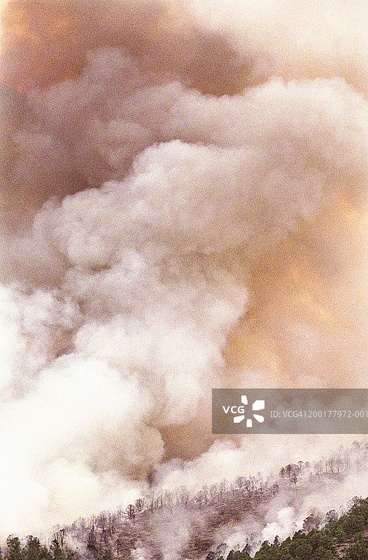 森林大火图片素材