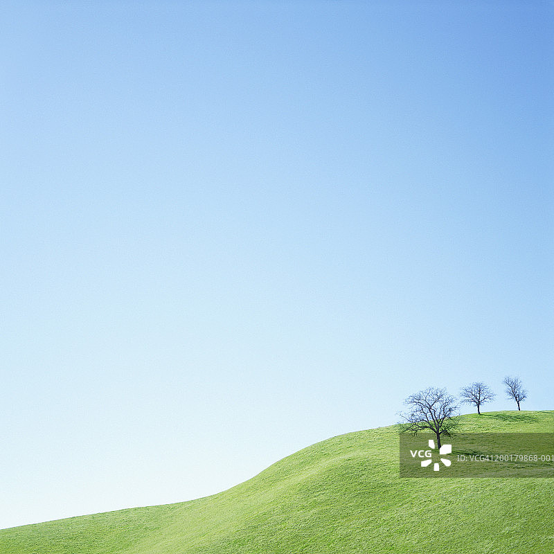 美国加利福尼亚州卡里佐平原国家纪念碑，山丘上的橡树图片素材