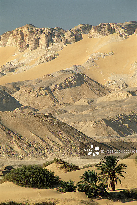 埃及西部沙漠达赫拉绿洲图片素材