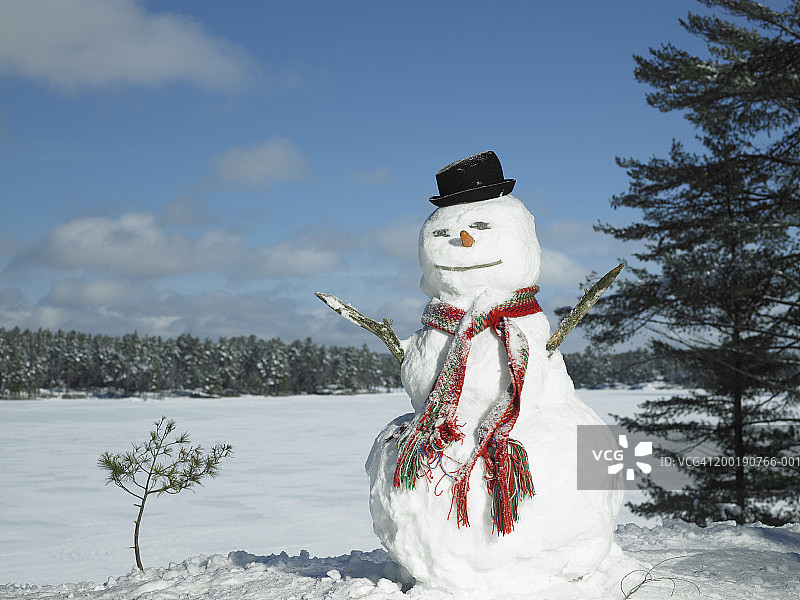 戴帽子和围巾的冬季雪人图片素材