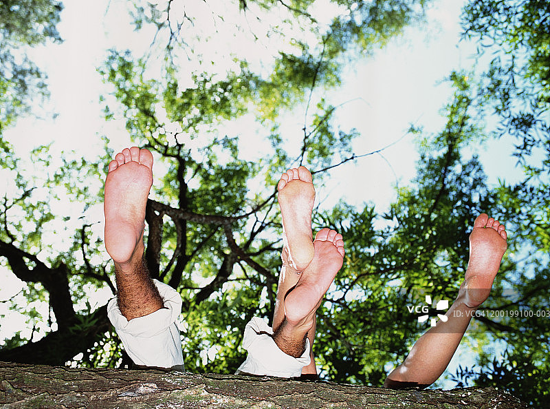 年轻夫妇在树下，低段图片素材