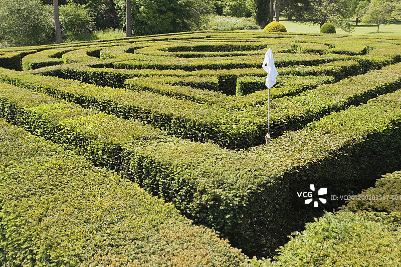 迷宫中举着白旗的年轻男人图片素材