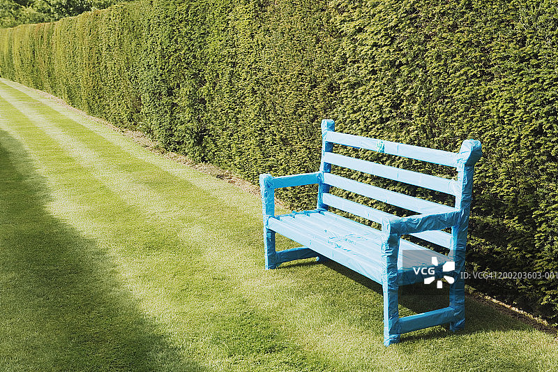 树篱边的花园长椅，用蓝色纸包裹图片素材