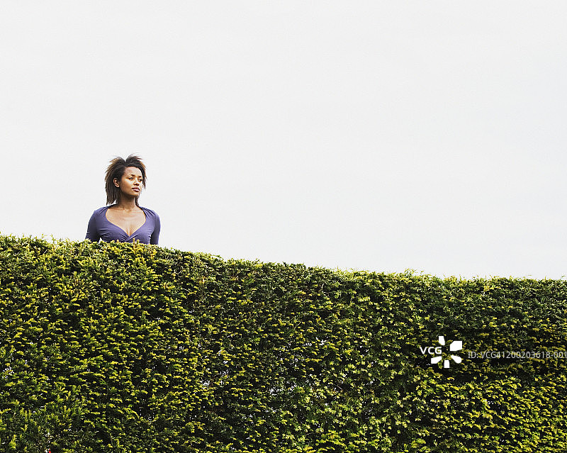 站在花园树篱后眺望远方的年轻女人图片素材