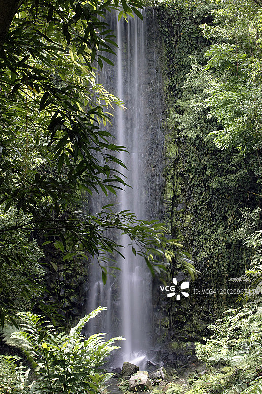新加坡裕廊飞禽公园热带雨林瀑布图片素材