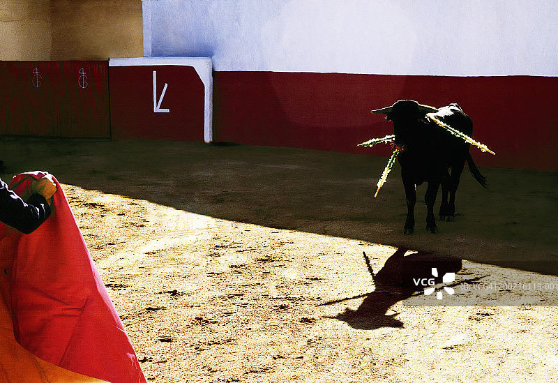 斗牛士与公牛图片素材