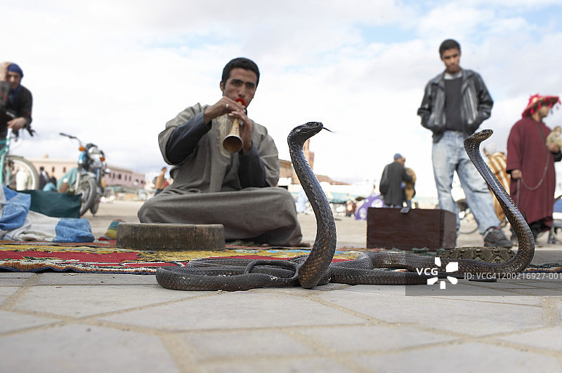 玩蛇人为蛇演奏音乐图片素材