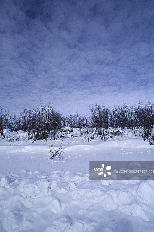 加拿大西北地区伊努维克的冬天图片素材