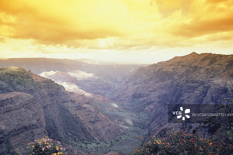 美国夏威夷可爱岛威美亚峡谷（高视角）图片素材