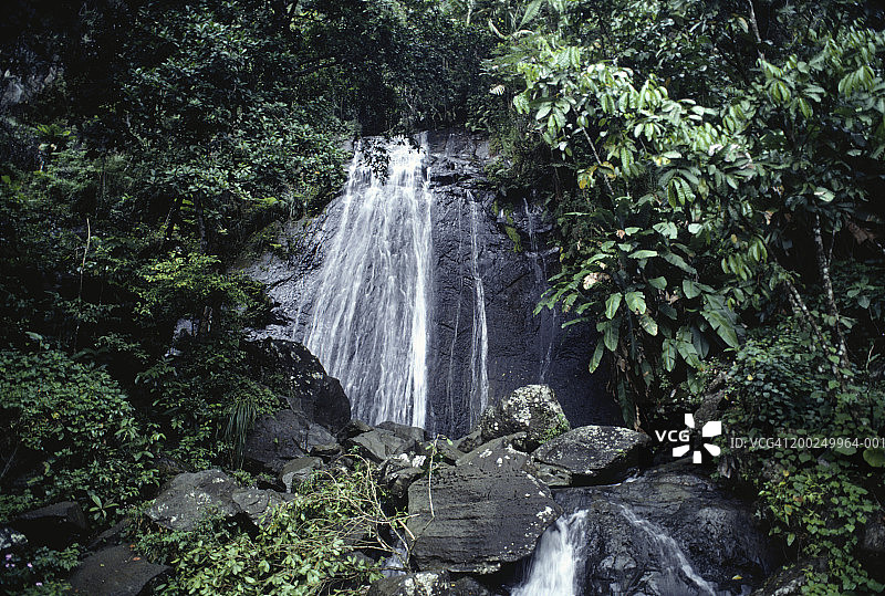 El Yunque雨林，波多黎各森林瀑布图片素材