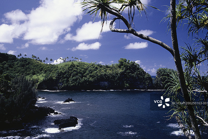 美国夏威夷哈玛库亚海岸图片素材