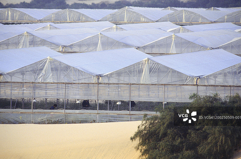以色列加沙地带苗圃图片素材