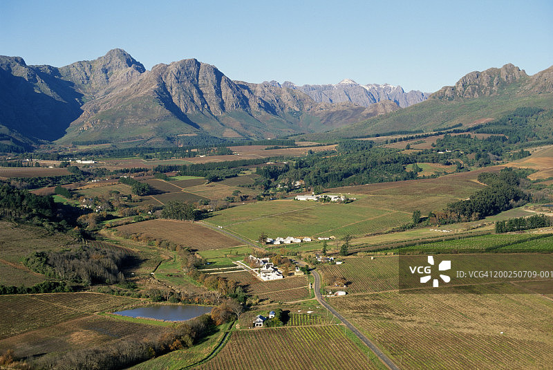 南非斯泰伦博斯山脉连绵起伏的葡萄园图片素材