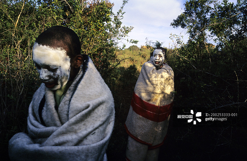 南非东开普省农村地区，科萨族男孩举行成人仪式图片素材