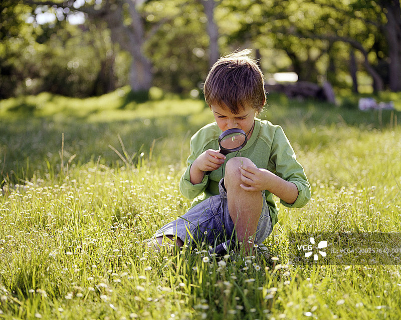 坐在田野里用放大镜看花的男孩图片素材