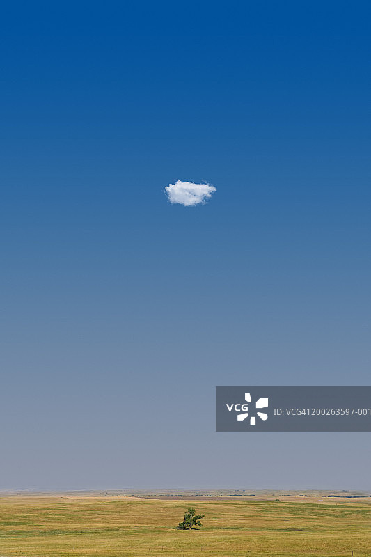 田野中的云和树图片素材