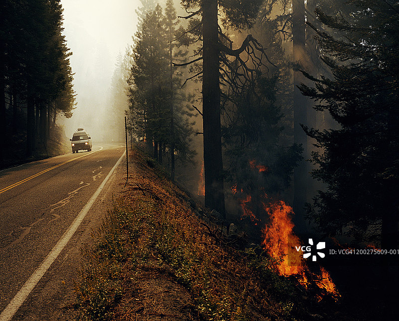 道路旁的燃烧火焰图片素材