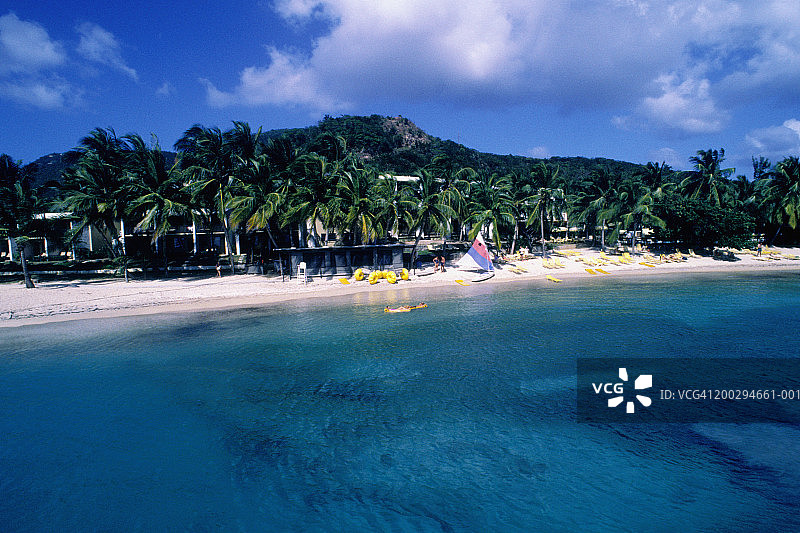 棕榈树、海滩和岛屿图片素材